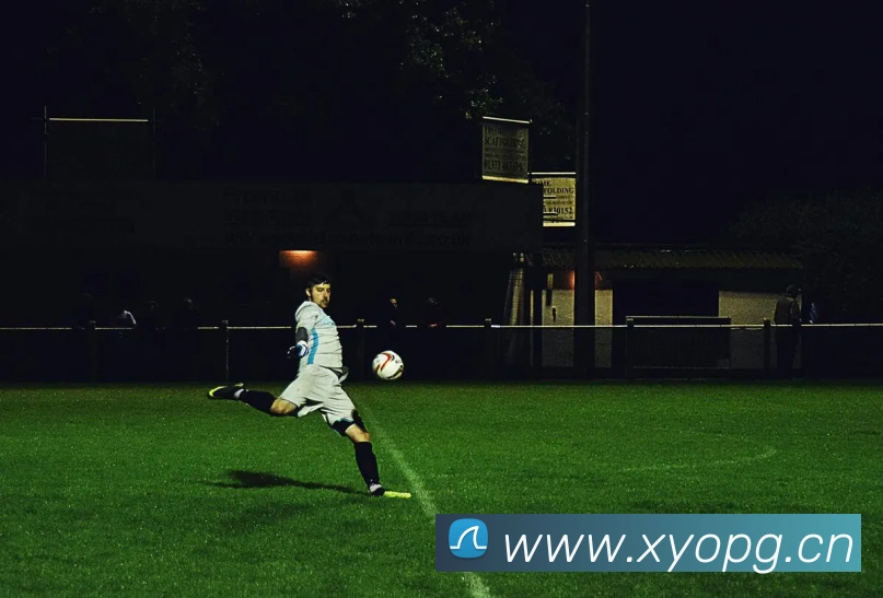 leyu乐鱼在线体育品牌故事