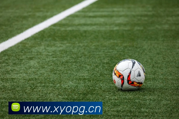 leyu乐鱼在线体育服务体系